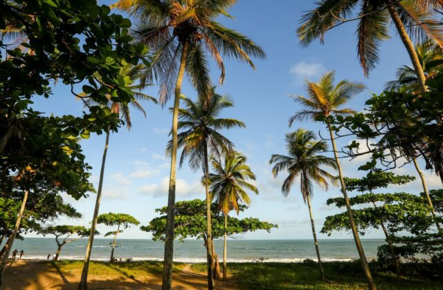 Praia de Itacimirim