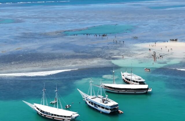 Parque Marinho do Recife de Fora